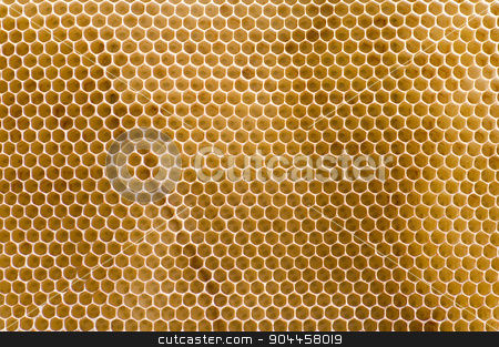 To use this stock image in your creative project, please select the size you need over to the right and click the "Add to Cart" button.
Your downloaded image will come with the Cutcaster watermark removed so don’t worry about the watermark you see on this page. Honeycomb stock photo, Honeycomb by Digifoodstock