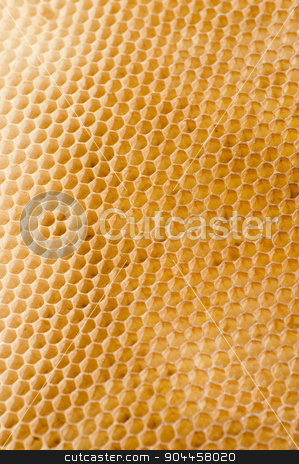 To use this stock image in your creative project, please select the size you need over to the right and click the "Add to Cart" button.
Your downloaded image will come with the Cutcaster watermark removed so don’t worry about the watermark you see on this page. Honeycomb stock photo, Honeycomb by Digifoodstock