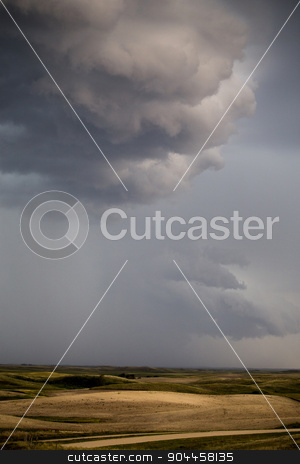 To use this stock image in your creative project, please select the size you need over to the right and click the "Add to Cart" button.
Your downloaded image will come with the Cutcaster watermark removed so don’t worry about the watermark you see on this page. Storm Clouds Prairie Sky stock photo, Storm Clouds Prairie Sky Canada Ominous danger by Mark Duffy