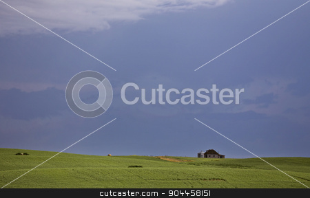 To use this stock image in your creative project, please select the size you need over to the right and click the "Add to Cart" button.
Your downloaded image will come with the Cutcaster watermark removed so don’t worry about the watermark you see on this page. Storm Clouds Prairie Sky stock photo, Storm Clouds Prairie Sky Canada Ominous danger by Mark Duffy