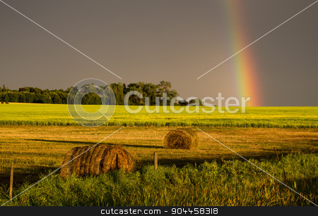 To use this stock image in your creative project, please select the size you need over to the right and click the "Add to Cart" button.
Your downloaded image will come with the Cutcaster watermark removed so don’t worry about the watermark you see on this page. Storm Clouds Prairie Sky Rainbow stock photo, Storm Clouds Prairie Sky Canada Ominous danger by Mark Duffy