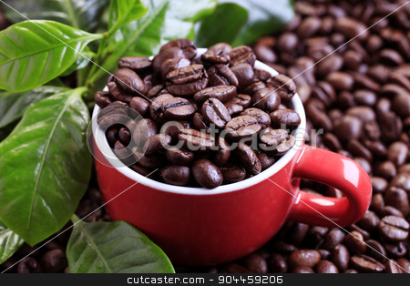 To use this stock image in your creative project, please select the size you need over to the right and click the "Add to Cart" button.
Your downloaded image will come with the Cutcaster watermark removed so don’t worry about the watermark you see on this page. Coffee beans stock photo, Roasted coffee beans in a red cup by Digifoodstock