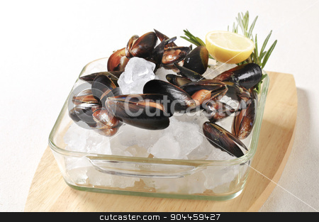 To use this stock image in your creative project, please select the size you need over to the right and click the "Add to Cart" button.
Your downloaded image will come with the Cutcaster watermark removed so don’t worry about the watermark you see on this page. Raw mussels on ice stock photo, Raw mussels and lemon on ice by Digifoodstock