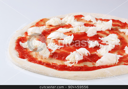 To use this stock image in your creative project, please select the size you need over to the right and click the "Add to Cart" button.
Your downloaded image will come with the Cutcaster watermark removed so don’t worry about the watermark you see on this page. Preparing pizza stock photo, Tomato paste and mozzarella on raw pizza dough by Digifoodstock