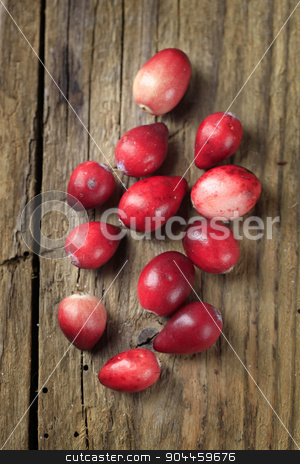 To use this stock image in your creative project, please select the size you need over to the right and click the "Add to Cart" button.
Your downloaded image will come with the Cutcaster watermark removed so don’t worry about the watermark you see on this page. Fresh cranberries stock photo, Fresh ripe cranberries on wood by Digifoodstock
