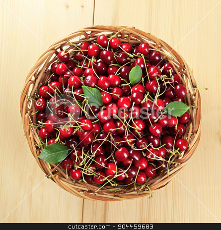 To use this stock image in your creative project, please select the size you need over to the right and click the "Add to Cart" button.
Your downloaded image will come with the Cutcaster watermark removed so don’t worry about the watermark you see on this page. Basket of fresh red cherries stock photo, Freshly picked red cherries in a basket by Digifoodstock