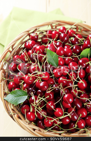 To use this stock image in your creative project, please select the size you need over to the right and click the "Add to Cart" button.
Your downloaded image will come with the Cutcaster watermark removed so don’t worry about the watermark you see on this page. Fresh red cherries stock photo, Basket of freshly picked red cherries - overhead by Digifoodstock