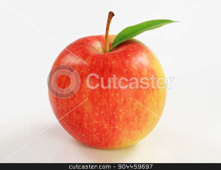 To use this stock image in your creative project, please select the size you need over to the right and click the "Add to Cart" button.
Your downloaded image will come with the Cutcaster watermark removed so don’t worry about the watermark you see on this page. Red apple stock photo, Studio shot of red apple by Digifoodstock
