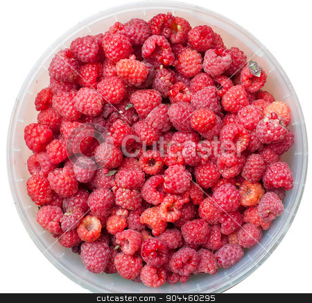 To use this stock image in your creative project, please select the size you need over to the right and click the "Add to Cart" button.
Your downloaded image will come with the Cutcaster watermark removed so don’t worry about the watermark you see on this page. sweet raspberry fruit stock photo, A beautiful selection of freshly picked ripe red raspberries by Aikon