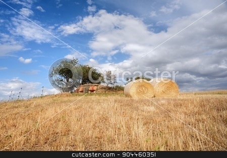 To use this stock image in your creative project, please select the size you need over to the right and click the "Add to Cart" button.
Your downloaded image will come with the Cutcaster watermark removed so don’t worry about the watermark you see on this page. Straw bales stock photo, Bales of straw on the mown meadow under blue sky by Ondrej Vladyka