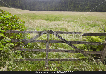 To use this stock image in your creative project, please select the size you need over to the right and click the "Add to Cart" button.
Your downloaded image will come with the Cutcaster watermark removed so don’t worry about the watermark you see on this page. Rusty wooden door in the countryside with forest. Foggy day stock photo, Rusty wooden door in the countryside with forest. Foggy day. Portugal by ABBPhoto