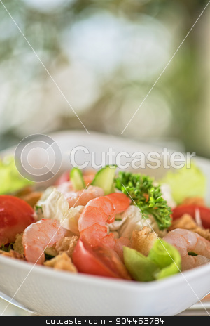 To use this stock image in your creative project, please select the size you need over to the right and click the "Add to Cart" button.
Your downloaded image will come with the Cutcaster watermark removed so don’t worry about the watermark you see on this page. shrimp vegetable salad stock photo, Caesar shrimp salad with cheese and arugula by olinchuk