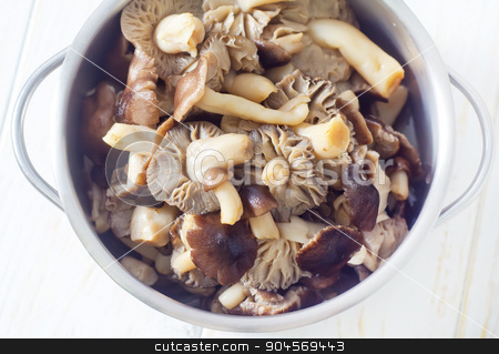 To use this stock image in your creative project, please select the size you need over to the right and click the "Add to Cart" button.
Your downloaded image will come with the Cutcaster watermark removed so don’t worry about the watermark you see on this page. mushrooms stock photo, mushrooms by tycoon