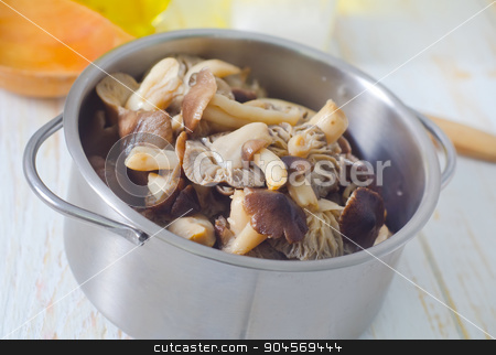 To use this stock image in your creative project, please select the size you need over to the right and click the "Add to Cart" button.
Your downloaded image will come with the Cutcaster watermark removed so don’t worry about the watermark you see on this page. mushrooms stock photo, mushrooms by tycoon
