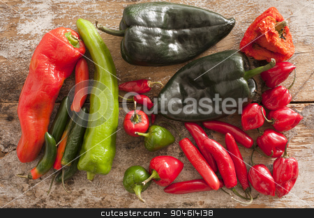 To use this stock image in your creative project, please select the size you need over to the right and click the "Add to Cart" button.
Your downloaded image will come with the Cutcaster watermark removed so don’t worry about the watermark you see on this page. Assortment of Chili Peppers stock photo, A selection of hot Chili Peppers of different varieties and colours on a wooden background by Stephen Gibson