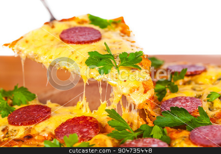 To use this stock image in your creative project, please select the size you need over to the right and click the "Add to Cart" button.
Your downloaded image will come with the Cutcaster watermark removed so don’t worry about the watermark you see on this page. slice of pizza stock photo, slice of pizza with cheese and salami closeup by MegaArt