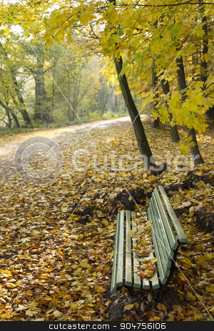 To use this stock image in your creative project, please select the size you need over to the right and click the "Add to Cart" button.
Your downloaded image will come with the Cutcaster watermark removed so don’t worry about the watermark you see on this page. Park bench with autumn leaves stock photo, Park bench on the trail with autumn leaves and sunshine by Bernd Kröger