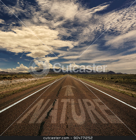 To use this stock image in your creative project, please select the size you need over to the right and click the "Add to Cart" button.
Your downloaded image will come with the Cutcaster watermark removed so don’t worry about the watermark you see on this page. Nature Road stock photo, Desert road with the word nature and arrow by Scott Griessel