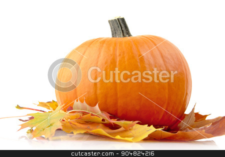 To use this stock image in your creative project, please select the size you need over to the right and click the "Add to Cart" button.
Your downloaded image will come with the Cutcaster watermark removed so don’t worry about the watermark you see on this page. Decoration of pumpkin with autumn leaves for thanksgiving day on white stock photo, Decoration of pumpkin for thanksgiving day with autumn leaves isolated on white background by Tadeusz Wejkszo