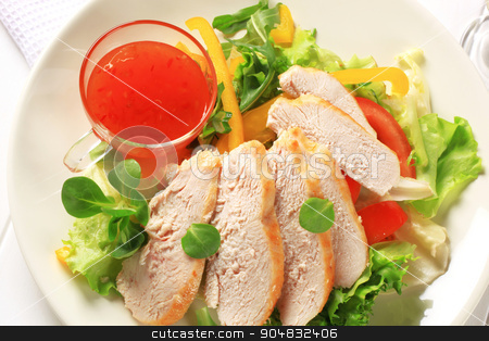 To use this stock image in your creative project, please select the size you need over to the right and click the "Add to Cart" button.
Your downloaded image will come with the Cutcaster watermark removed so don’t worry about the watermark you see on this page. Sliced chicken breast with salad and sweet chilli sauce stock photo, Sliced chicken breast fillet with salad and sweet chilli sauce by Digifoodstock