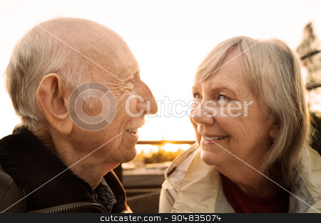 To use this stock image in your creative project, please select the size you need over to the right and click the "Add to Cart" button.
Your downloaded image will come with the Cutcaster watermark removed so don’t worry about the watermark you see on this page. Cute Couple Looking at Each Other stock photo, Senior couple smiling and looking each other by Scott Griessel