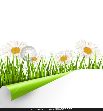 To use this stock image in your creative project, please select the size you need over to the right and click the "Add to Cart" button.
Your downloaded image will come with the Cutcaster watermark removed so don’t worry about the watermark you see on this page. Green grass lawn with white chamomiles and wrapped paper sheet i stock vector clipart, Green grass lawn with white chamomiles and wrapped paper sheet isolated on white. Floral nature flower background by Makkuro_GL