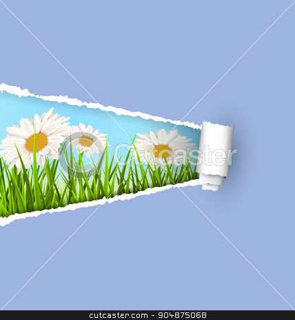 To use this stock image in your creative project, please select the size you need over to the right and click the "Add to Cart" button.
Your downloaded image will come with the Cutcaster watermark removed so don’t worry about the watermark you see on this page. Green grass lawn with white chamomiles and ripped paper sheet is stock vector clipart, Green grass lawn with white chamomiles and ripped paper sheet isolated on green. Floral nature flower background by Makkuro_GL