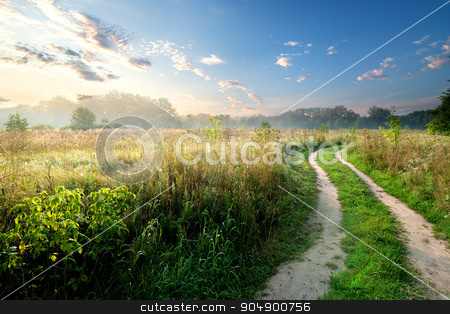 To use this stock image in your creative project, please select the size you need over to the right and click the "Add to Cart" button.
Your downloaded image will come with the Cutcaster watermark removed so don’t worry about the watermark you see on this page. Fog over country road stock photo, Fog and sky over country road in the field by Givaga