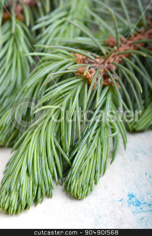 To use this stock image in your creative project, please select the size you need over to the right and click the "Add to Cart" button.
Your downloaded image will come with the Cutcaster watermark removed so don’t worry about the watermark you see on this page. Fir-needle tree branches composition as a background texture stock photo, Fir-needle tree branches composition as a background texture by Sergey Lysenkov