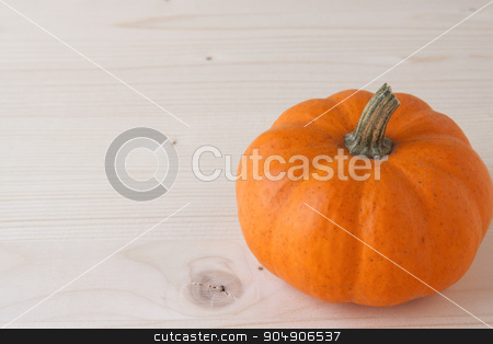 To use this stock image in your creative project, please select the size you need over to the right and click the "Add to Cart" button.
Your downloaded image will come with the Cutcaster watermark removed so don’t worry about the watermark you see on this page. Miniature Pumpkins stock photo, A miniature orange pumpkin on a wooden background by AntoniaLorenzo