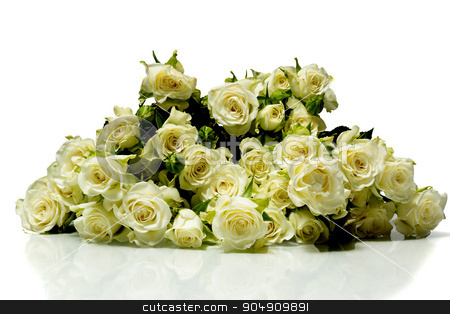 To use this stock image in your creative project, please select the size you need over to the right and click the "Add to Cart" button.
Your downloaded image will come with the Cutcaster watermark removed so don’t worry about the watermark you see on this page. roses on a white background stock photo, The photo shows roses on a white background by AlexBush