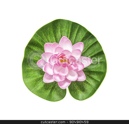 To use this stock image in your creative project, please select the size you need over to the right and click the "Add to Cart" button.
Your downloaded image will come with the Cutcaster watermark removed so don’t worry about the watermark you see on this page. Pink artificial lotus stock photo, Pink artificial lotus with green leaf isolated on white with clipping path by manusy