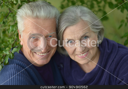 To use this stock image in your creative project, please select the size you need over to the right and click the "Add to Cart" button.
Your downloaded image will come with the Cutcaster watermark removed so don’t worry about the watermark you see on this page. Happy senior couple stock photo, Happy senior couple relaxing in autumn park by Ruslan Huzau