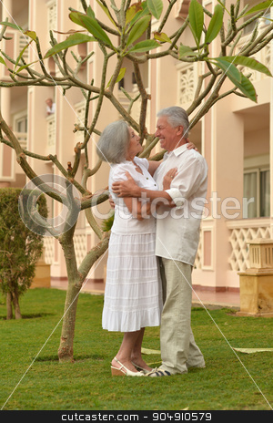 To use this stock image in your creative project, please select the size you need over to the right and click the "Add to Cart" button.
Your downloaded image will come with the Cutcaster watermark removed so don’t worry about the watermark you see on this page. Senior couple resting at the resort stock photo, Senior couple resting at the resort during vacation by Ruslan Huzau