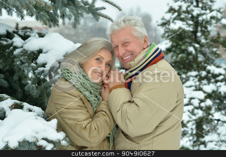To use this stock image in your creative project, please select the size you need over to the right and click the "Add to Cart" button.
Your downloaded image will come with the Cutcaster watermark removed so don’t worry about the watermark you see on this page. senior couple at winter outdoors stock photo, Portrait of a happy senior couple at winter outdoors by Ruslan Huzau