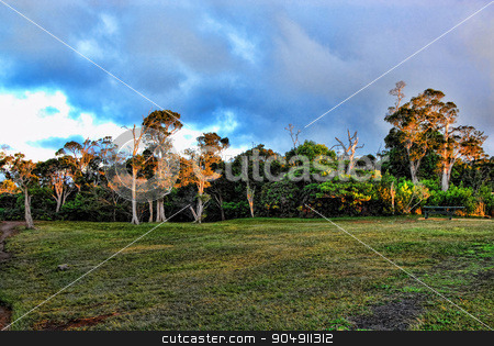 To use this stock image in your creative project, please select the size you need over to the right and click the "Add to Cart" button.
Your downloaded image will come with the Cutcaster watermark removed so don’t worry about the watermark you see on this page. Dreamy Kauai,Hawaii stock photo, Dreamy Kauai,Hawaii vista views. by WScott