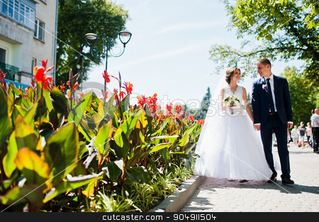 To use this stock image in your creative project, please select the size you need over to the right and click the "Add to Cart" button.
Your downloaded image will come with the Cutcaster watermark removed so don’t worry about the watermark you see on this page. Wedding couple walking on streets of city with with lawns of red stock photo, Wedding couple walking on streets of city with with lawns of red flowers by Andrii Shevchuk