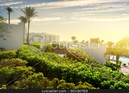 To use this stock image in your creative project, please select the size you need over to the right and click the "Add to Cart" button.
Your downloaded image will come with the Cutcaster watermark removed so don’t worry about the watermark you see on this page. Resort in Sharm el Sheikh stock photo, Resort in Sharm el Sheikh at sunrise by Givaga