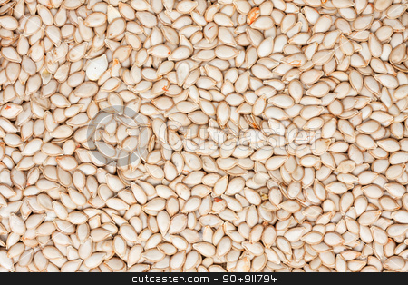 To use this stock image in your creative project, please select the size you need over to the right and click the "Add to Cart" button.
Your downloaded image will come with the Cutcaster watermark removed so don’t worry about the watermark you see on this page. Background out of pumpkin seeds stock photo, Background out of pumpkin seeds, can be used as a texture by alekleks