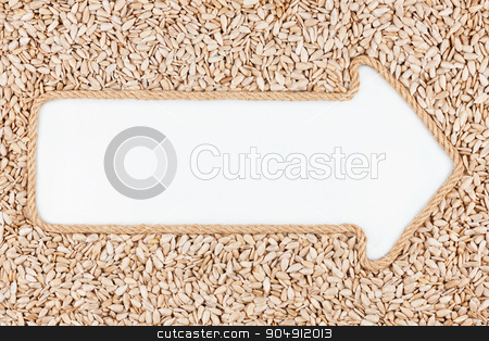 To use this stock image in your creative project, please select the size you need over to the right and click the "Add to Cart" button.
Your downloaded image will come with the Cutcaster watermark removed so don’t worry about the watermark you see on this page. Arrow made of rope with sunflower seeds with a white background stock photo, Arrow made of rope with sunflower seeds with a white background,with place for your text by alekleks