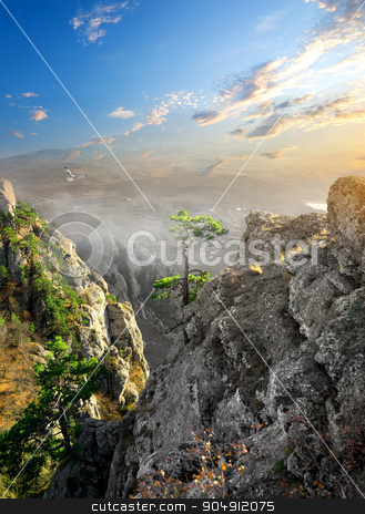 To use this stock image in your creative project, please select the size you need over to the right and click the "Add to Cart" button.
Your downloaded image will come with the Cutcaster watermark removed so don’t worry about the watermark you see on this page. Fog in canyon stock photo, Bird over fog in mountain canyon at sunrise by Givaga