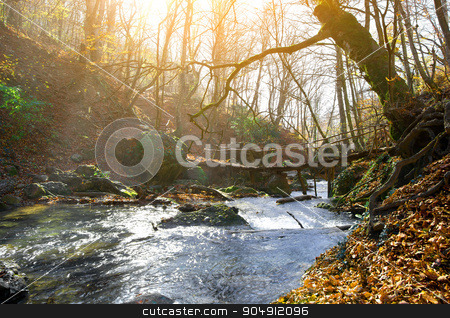 To use this stock image in your creative project, please select the size you need over to the right and click the "Add to Cart" button.
Your downloaded image will come with the Cutcaster watermark removed so don’t worry about the watermark you see on this page. Mountain river and bridge stock photo, Wooden bridge and mountain river in autumn by Givaga