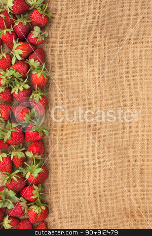 To use this stock image in your creative project, please select the size you need over to the right and click the "Add to Cart" button.
Your downloaded image will come with the Cutcaster watermark removed so don’t worry about the watermark you see on this page. Strawberries lies on sackcloth stock photo, Strawberries lies on sackcloth, can be used as background by alekleks