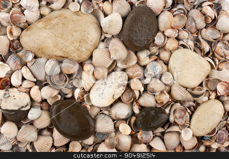 To use this stock image in your creative project, please select the size you need over to the right and click the "Add to Cart" button.
Your downloaded image will come with the Cutcaster watermark removed so don’t worry about the watermark you see on this page. Shells, stones, background stock photo, Wet stones lying on the shells, the background by alekleks
