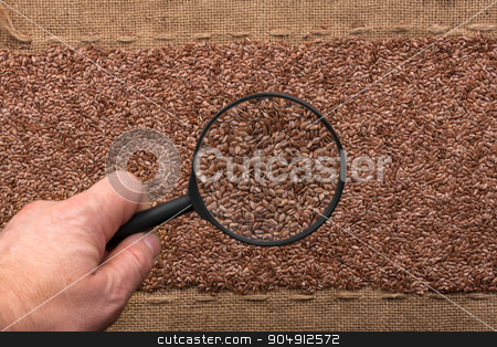 To use this stock image in your creative project, please select the size you need over to the right and click the "Add to Cart" button.
Your downloaded image will come with the Cutcaster watermark removed so don’t worry about the watermark you see on this page. Man's hand with magnifying glass over flax stock photo, Man's hand with magnifying glass over flax and burlap by alekleks