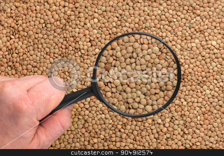 To use this stock image in your creative project, please select the size you need over to the right and click the "Add to Cart" button.
Your downloaded image will come with the Cutcaster watermark removed so don’t worry about the watermark you see on this page. Human hand holding a magnifying glass over the lentils stock photo, Human hand holding a magnifying glass over the lentils can be used as background by alekleks