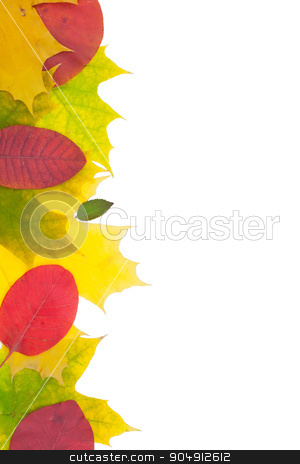 To use this stock image in your creative project, please select the size you need over to the right and click the "Add to Cart" button.
Your downloaded image will come with the Cutcaster watermark removed so don’t worry about the watermark you see on this page. Red and yellow leaves stock photo, Red and yellow leaves isolated on white background by alekleks
