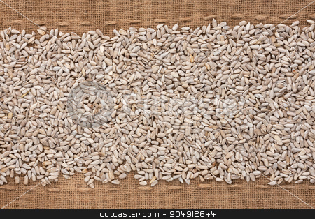 To use this stock image in your creative project, please select the size you need over to the right and click the "Add to Cart" button.
Your downloaded image will come with the Cutcaster watermark removed so don’t worry about the watermark you see on this page. Peeled sunflower seeds lying on sackcloth between the lines stock photo, Peeled sunflower seeds lying on sackcloth between the lines, can be used as background by alekleks