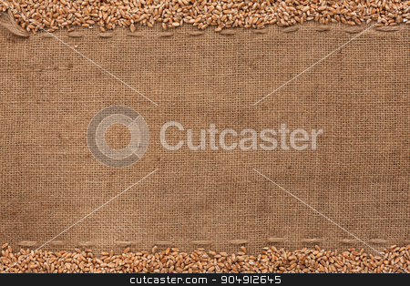 To use this stock image in your creative project, please select the size you need over to the right and click the "Add to Cart" button.
Your downloaded image will come with the Cutcaster watermark removed so don’t worry about the watermark you see on this page. wheat lying on sackcloth stock photo, wheat lying on sackcloth with space for text by alekleks