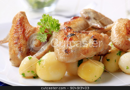 To use this stock image in your creative project, please select the size you need over to the right and click the "Add to Cart" button.
Your downloaded image will come with the Cutcaster watermark removed so don’t worry about the watermark you see on this page. Roasted chicken wings and potatoes stock photo, Roasted chicken wings and potatoes - closeup by Digifoodstock